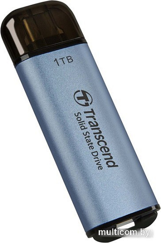 Внешний накопитель Transcend ESD300 512GB TS512GESD300C