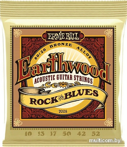 Струны для гитары Ernie Ball 2008