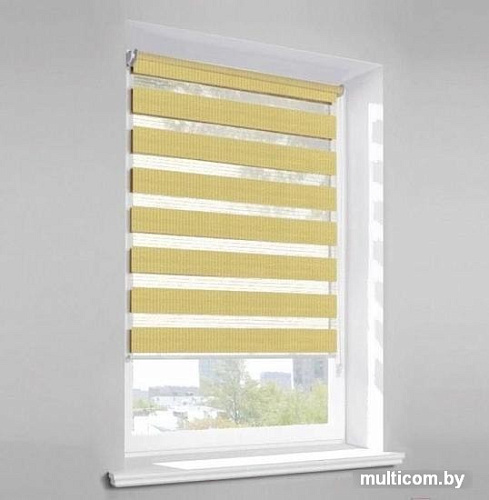 Шторы день-ночь Lm Decor Грация ДН LB 10-08 110х160