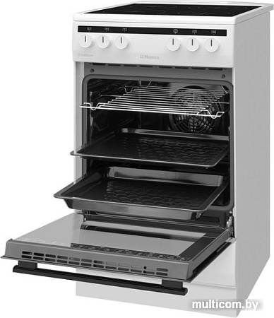 Кухонная плита Hansa FCCWS580977