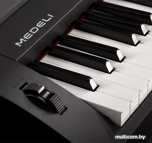 Medeli SP4200 (со стойкой)