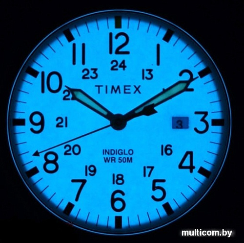 Наручные часы Timex TW2R46200