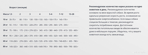 Сухой корм для собак Josera Junior Sport Sensitive 12.5 кг