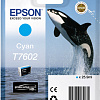 Картридж Epson C13T76024010