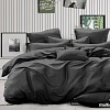 Постельное белье Pandora №1x1 19-5708 Черный 2сп с европростыней (микрофибра-страйп)