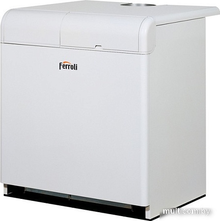 Отопительный котел Ferroli Pegasus 2S 107