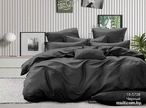 Постельное белье Pandora №1x1 19-5708 Черный 2сп с европростыней (микрофибра-страйп)