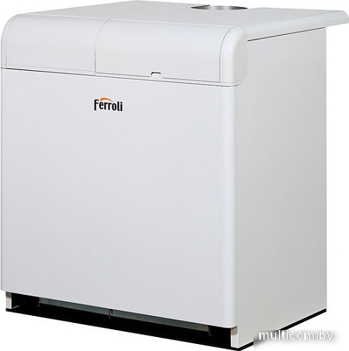 Отопительный котел Ferroli Pegasus 2S 107