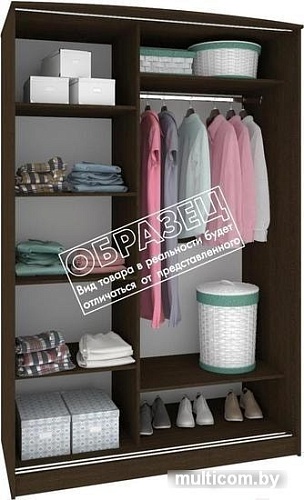 Шкаф-купе Кортекс-мебель Лагуна ШК02-02 (белый)