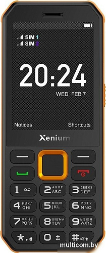 Телефон Xenium X300 (оранжевый/черный)
