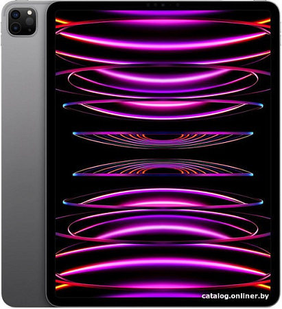 Планшет Apple iPad Pro 12.9" 2022 256GB (серый космос)