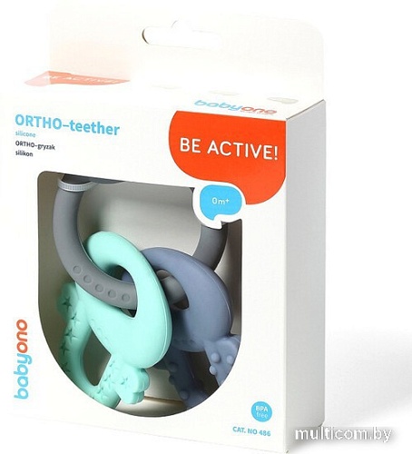 Набор прорезывателей BabyOno Ortho 487