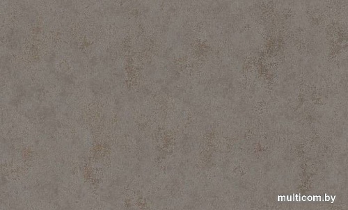 Виниловые обои Rasch Fiesta 972832