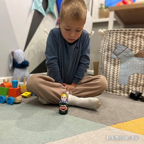 Развивающая игра Брестская Матрешка Девушка с ромашками и маками в фиолетовом платке (набор 5 шт)