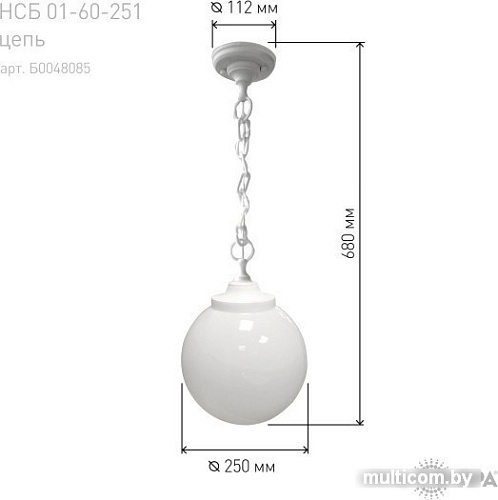 Уличный подвесной светильник ЭРА НСБ 01-60-251 Б0048085