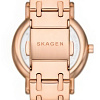 Наручные часы Skagen SKW3125