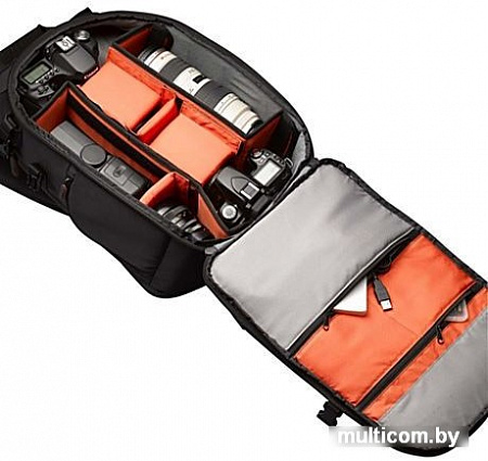 Рюкзак Case Logic DCB-309