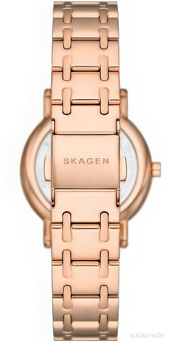 Наручные часы Skagen SKW3125