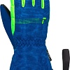 Горнолыжные перчатки Reusch Maxi R-Tex Xt 6285215-4507 (р-р 4, Surf The Web/Green Gecko)