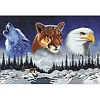 Алмазная мозаика Wizardi Дикая природа 2WD2412