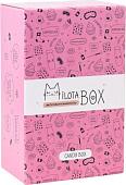 Подарочный набор Milota Box Candy Mini MBS002