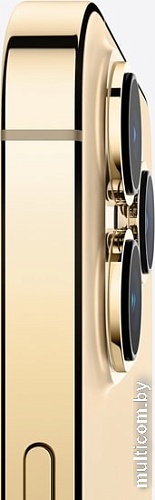 Смартфон Apple iPhone 13 Pro Max 128GB Восстановленный by Breezy, грейд B (золотой)