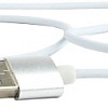 Кабель Cablexpert CC-USB2-AMmUMM-1M