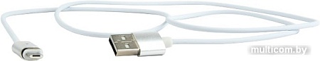 Кабель Cablexpert CC-USB2-AMmUMM-1M