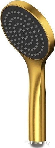 Душевая лейка Whitecross BASIC-GLB (брашированное золото)