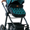 Универсальная коляска Lorelli Alexa 2020 (2 в 1, black leaves)