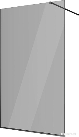 Душевая стенка Berges Wasserhaus Sky Black 120x200 064029