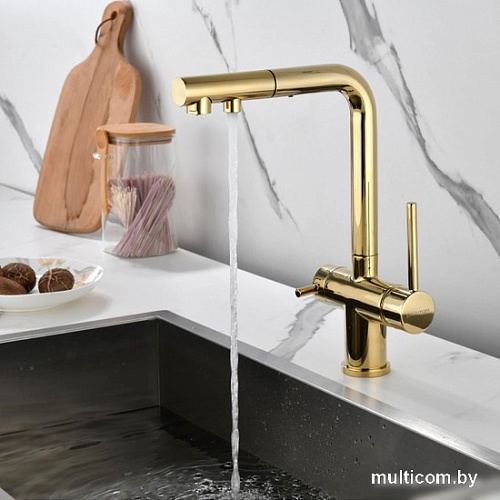 Смеситель Paulmark Serpentine SE213222-G (золото)