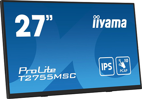 Портативный монитор Iiyama ProLite T2755MSC-B1