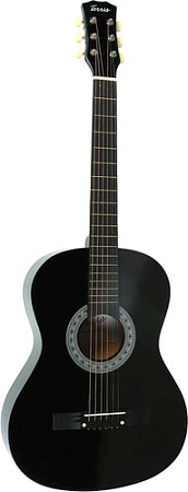 Акустическая гитара Terris TF-3802A BK