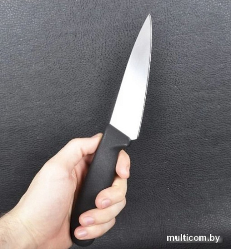 Кухонный нож Victorinox 5.2003.12