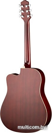 Акустическая гитара Naranda DG220CWRS