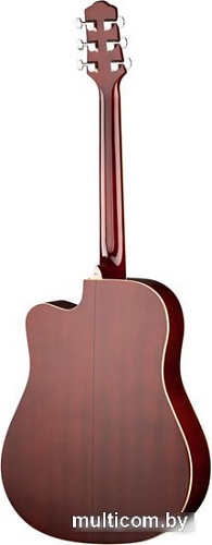 Акустическая гитара Naranda DG220CWRS