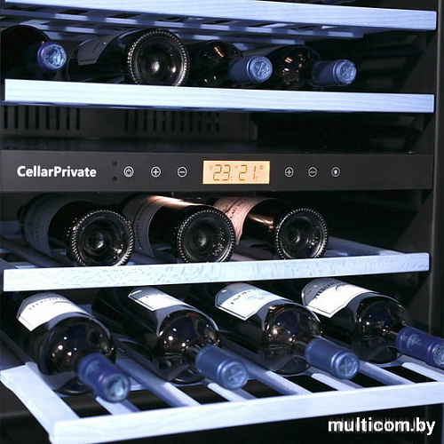 Винный шкаф Cellar Private CP043-2T