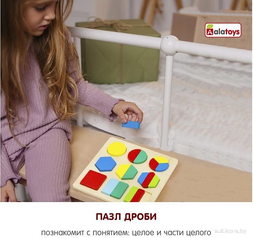 Сортер Alatoys Дроби-фигуры ДР2101