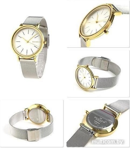 Наручные часы Skagen SKW2508