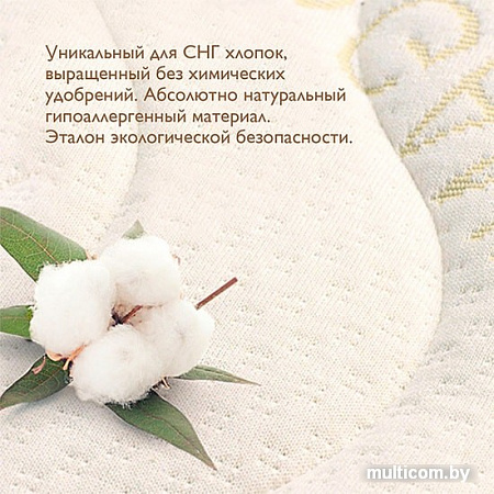 Матрас Плитекс Organic Twin 60x119