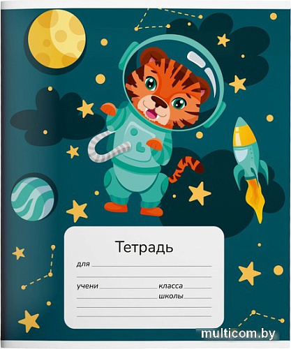 Набор тетрадей Schoolformat Звездные друзья ТШК18-ЗД-НМП