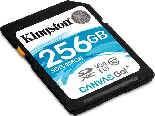 Карта памяти Kingston Canvas Go! SDG/256GB SDXC 256GB