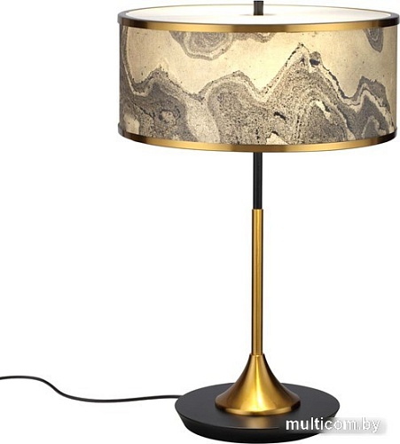 Настольная лампа Odeon Light Modern 5064/2T