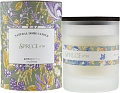 Ароматизированая свеча Ambientair Enchanted Forest Eль VV040ACEF
