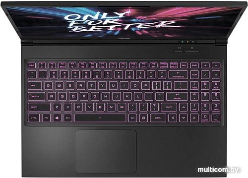 Игровой ноутбук Maibenben X525 X525FSFALBRE0