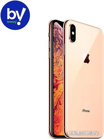 Смартфон Apple iPhone XS Max 64GB Воcстановленный by Breezy, грейд B (золотистый)