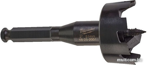 Коронка Milwaukee 4932479484