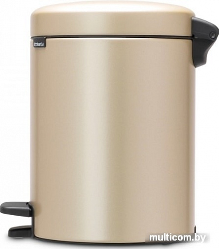 Brabantia Pedal Bin NewIcon 5 л (платиновый)