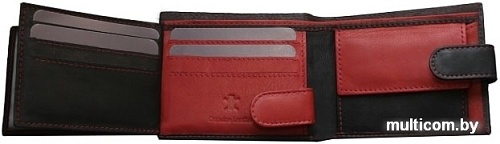 Кошелек Bellugio AM-24-035